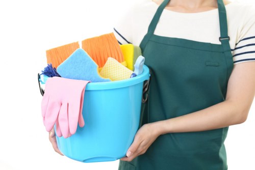 Accessible Hampstead cleaner website on a device with inclusive design features