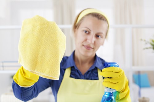 Reliable Hampstead cleaner maintaining a spotless home environment