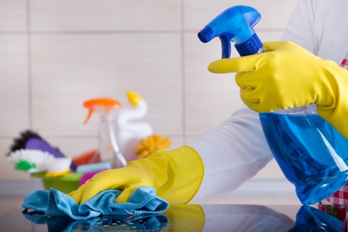 Final section of cleaning service terms and governing law overview