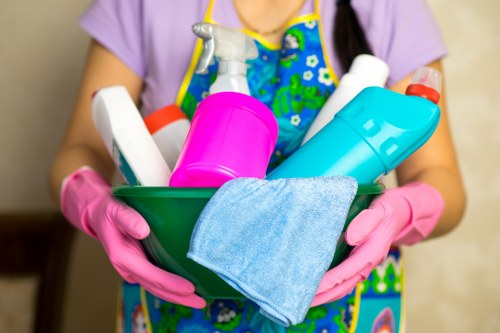 WCAG 2.1 AA compliant Hampstead cleaner web access concept