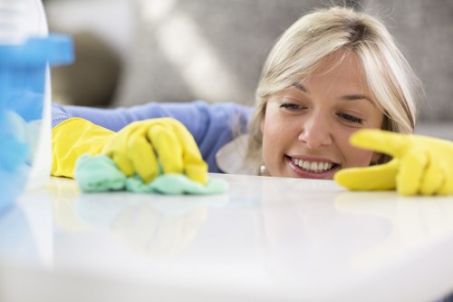 Professional cleaners working in a Hampstead home