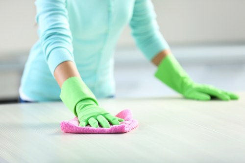 End of tenancy cleaning in a Hampstead residence