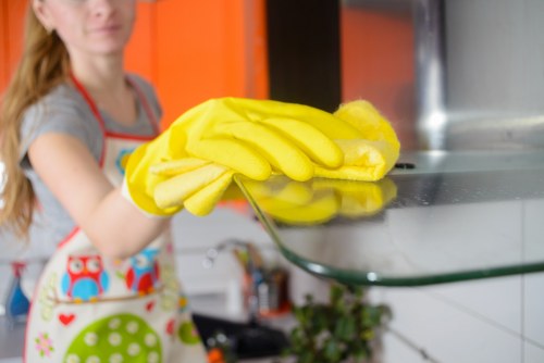 Professional oven cleaning in Hampstead showing a spotless oven interior