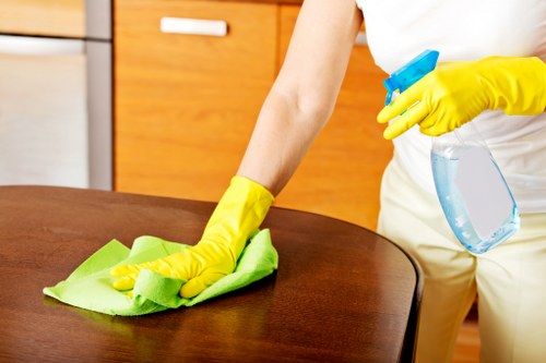 Domestic cleaning service in a Hampstead property
