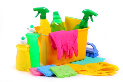 Professional upholstery cleaning in a Hampstead home interior